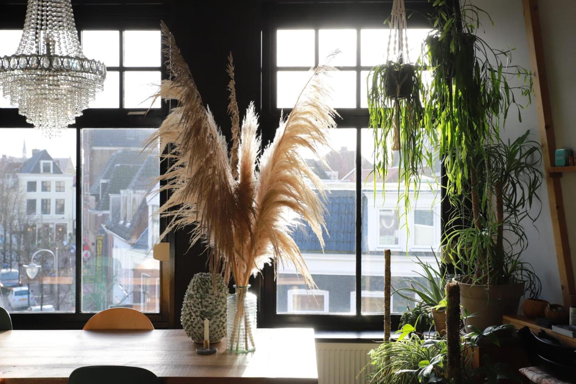 Appartement Stadslogement Valentijn